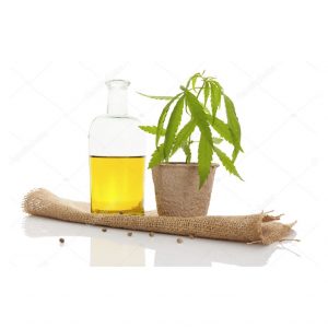 HEMP SEED OIL